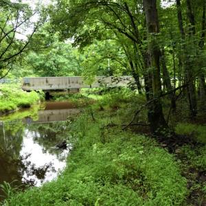Photo of UNDER CONTRACT!  13 Acres of Rural Residential Land For Sale in Pitt County NC!