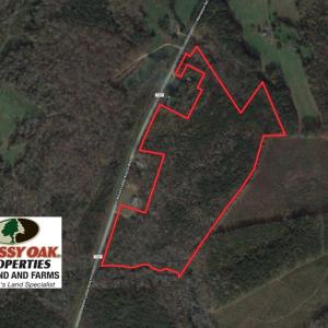 Photo of UNDER CONTRACT!  40 Acres of Timber Land For Sale in Warren County NC!