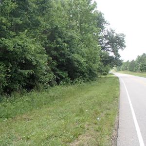 Photo of UNDER CONTRACT!  40 Acres of Timber Land For Sale in Warren County NC!