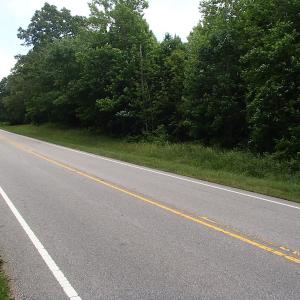 Photo of UNDER CONTRACT!  40 Acres of Timber Land For Sale in Warren County NC!
