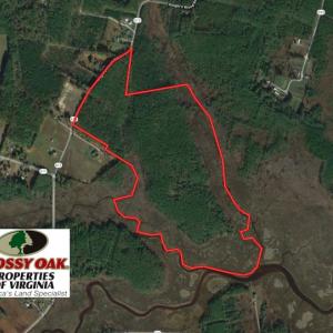 Photo of UNER CONTRACT!  109 Acres of Hunting Land for Sale in Mathews County VA!