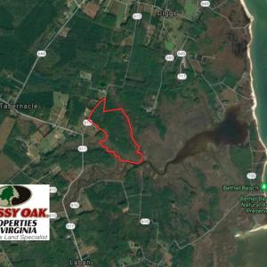 Photo of UNER CONTRACT!  109 Acres of Hunting Land for Sale in Mathews County VA!