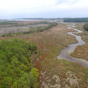 Photo of UNER CONTRACT!  109 Acres of Hunting Land for Sale in Mathews County VA!