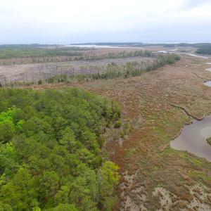Photo of UNER CONTRACT!  109 Acres of Hunting Land for Sale in Mathews County VA!