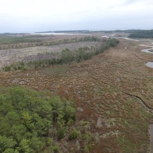 Photo of UNER CONTRACT!  109 Acres of Hunting Land for Sale in Mathews County VA!