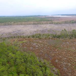 Photo of UNER CONTRACT!  109 Acres of Hunting Land for Sale in Mathews County VA!