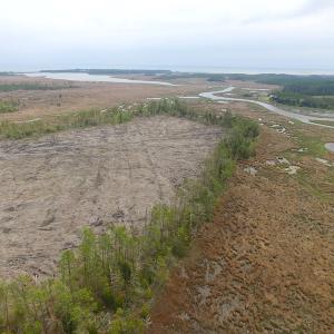 Photo of UNER CONTRACT!  109 Acres of Hunting Land for Sale in Mathews County VA!