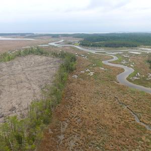 Photo of UNER CONTRACT!  109 Acres of Hunting Land for Sale in Mathews County VA!