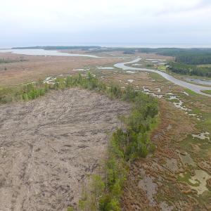 Photo of UNER CONTRACT!  109 Acres of Hunting Land for Sale in Mathews County VA!