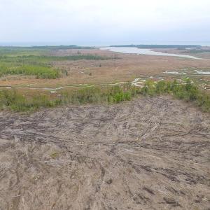 Photo of UNER CONTRACT!  109 Acres of Hunting Land for Sale in Mathews County VA!