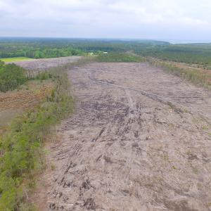 Photo of UNER CONTRACT!  109 Acres of Hunting Land for Sale in Mathews County VA!