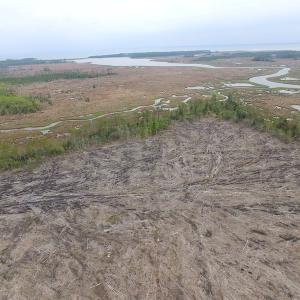 Photo of UNER CONTRACT!  109 Acres of Hunting Land for Sale in Mathews County VA!
