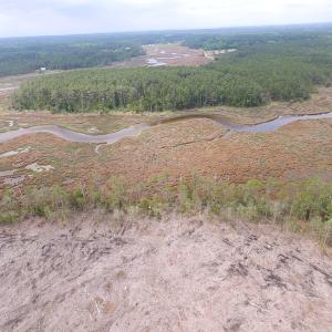 Photo of UNER CONTRACT!  109 Acres of Hunting Land for Sale in Mathews County VA!