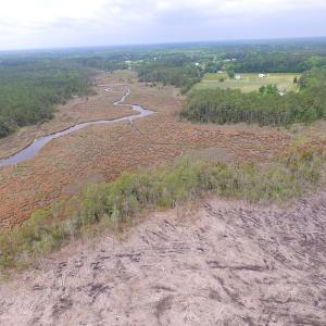 Photo of UNER CONTRACT!  109 Acres of Hunting Land for Sale in Mathews County VA!