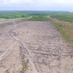 Photo of UNER CONTRACT!  109 Acres of Hunting Land for Sale in Mathews County VA!
