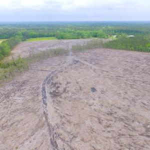 Photo of UNER CONTRACT!  109 Acres of Hunting Land for Sale in Mathews County VA!