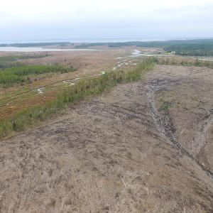Photo of UNER CONTRACT!  109 Acres of Hunting Land for Sale in Mathews County VA!