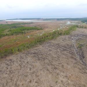 Photo of UNER CONTRACT!  109 Acres of Hunting Land for Sale in Mathews County VA!