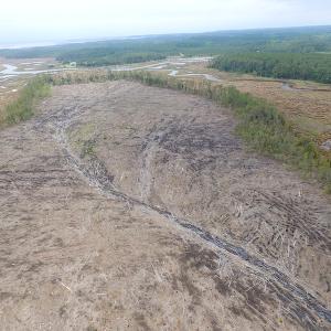 Photo of UNER CONTRACT!  109 Acres of Hunting Land for Sale in Mathews County VA!