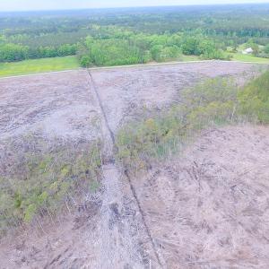Photo of UNER CONTRACT!  109 Acres of Hunting Land for Sale in Mathews County VA!