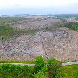 Photo of UNER CONTRACT!  109 Acres of Hunting Land for Sale in Mathews County VA!
