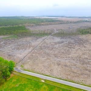 Photo of UNER CONTRACT!  109 Acres of Hunting Land for Sale in Mathews County VA!