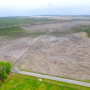Photo of UNER CONTRACT!  109 Acres of Hunting Land for Sale in Mathews County VA!
