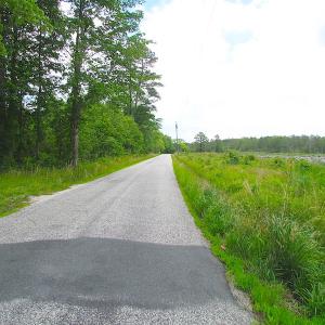 Photo of UNER CONTRACT!  109 Acres of Hunting Land for Sale in Mathews County VA!
