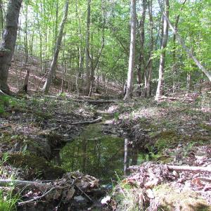 Photo of UNDER CONTRACT!  25 Acres of Land with Home in King William County VA!