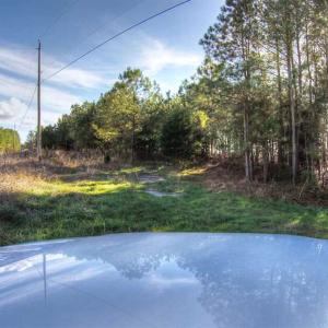 Photo of SOLD!  761 Acres of Hunting Land For Sale in Accomack County VA!