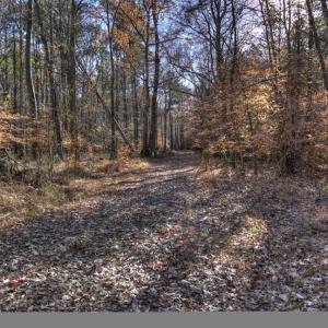 Photo of SOLD!  761 Acres of Hunting Land For Sale in Accomack County VA!
