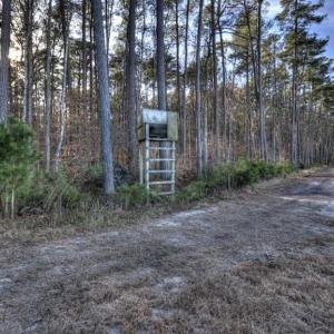 Photo of SOLD!  761 Acres of Hunting Land For Sale in Accomack County VA!