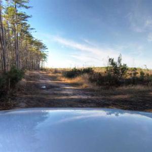 Photo of SOLD!  761 Acres of Hunting Land For Sale in Accomack County VA!