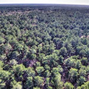 Photo of SOLD!  761 Acres of Hunting Land For Sale in Accomack County VA!