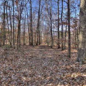 Photo of SOLD!  761 Acres of Hunting Land For Sale in Accomack County VA!