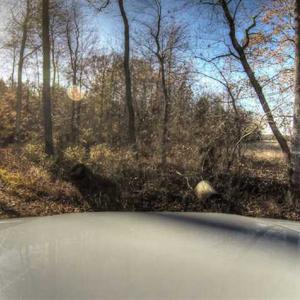 Photo of SOLD!  761 Acres of Hunting Land For Sale in Accomack County VA!