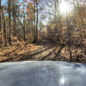 Photo of SOLD!  761 Acres of Hunting Land For Sale in Accomack County VA!