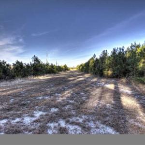Photo of SOLD!  761 Acres of Hunting Land For Sale in Accomack County VA!