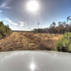 Photo of SOLD!  761 Acres of Hunting Land For Sale in Accomack County VA!