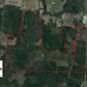 Photo of SOLD!  761 Acres of Hunting Land For Sale in Accomack County VA!