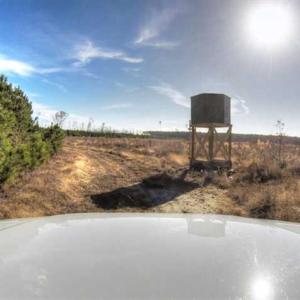 Photo of SOLD!  761 Acres of Hunting Land For Sale in Accomack County VA!