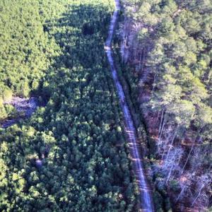 Photo of SOLD!  761 Acres of Hunting Land For Sale in Accomack County VA!