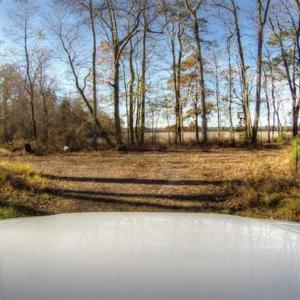 Photo of SOLD!  761 Acres of Hunting Land For Sale in Accomack County VA!