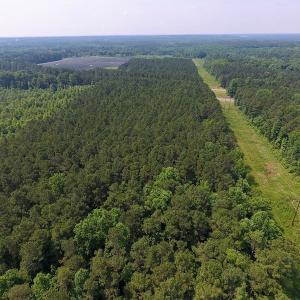 Photo of UNDER CONTRACT!  30 Acres of Timber and Hunting Land For Sale in Nash County NC!