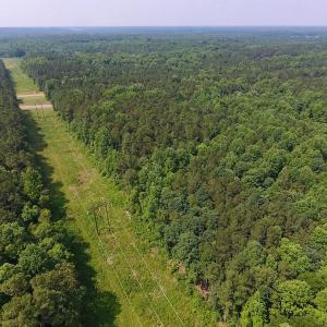 Photo of UNDER CONTRACT!  30 Acres of Timber and Hunting Land For Sale in Nash County NC!