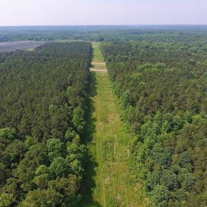 Photo of UNDER CONTRACT!  30 Acres of Timber and Hunting Land For Sale in Nash County NC!