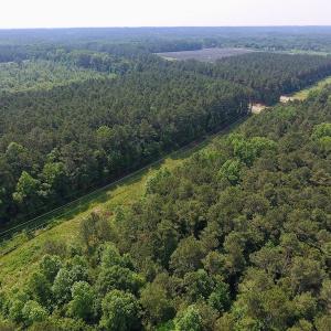 Photo of UNDER CONTRACT!  30 Acres of Timber and Hunting Land For Sale in Nash County NC!