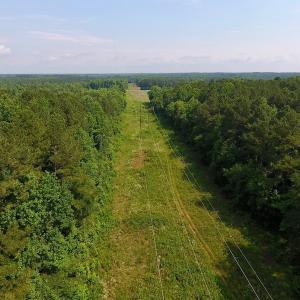Photo of UNDER CONTRACT!  30 Acres of Timber and Hunting Land For Sale in Nash County NC!