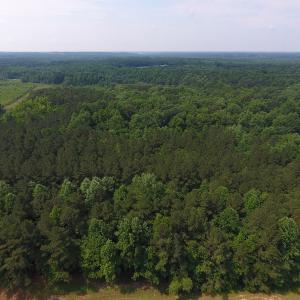 Photo of UNDER CONTRACT!  30 Acres of Timber and Hunting Land For Sale in Nash County NC!