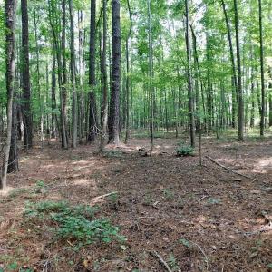 Photo of UNDER CONTRACT!  30 Acres of Timber and Hunting Land For Sale in Nash County NC!